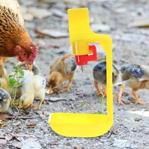 6 Pezzi Irrigatore Pollo Tazza Pollame Irrigazione Mangiatoia Dispenser Mangiatoia - Foto 8 di 12