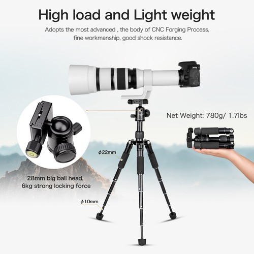 Camera Mini Tripod Compact Tabletop Tripod with 360° Ball Head for Camera - Picture 6 of 22