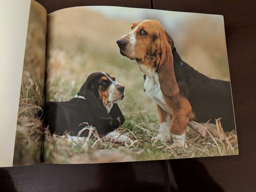 Rare Paperback Book - Puppies III by Mitsuaki Iwago Photos art photography - Imagen 8 de 11