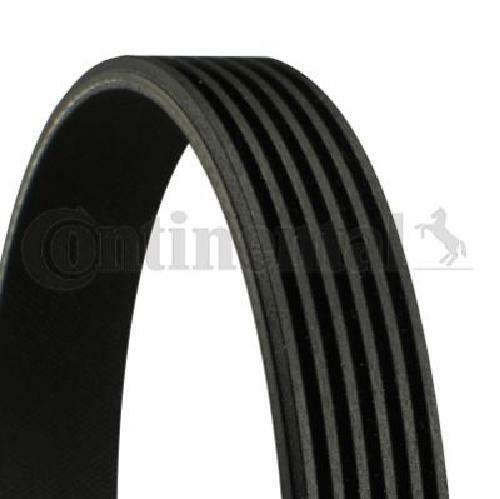 Genuine CONTINENTAL CTAM Poly V Belt 6PK2225 For Ford Usa Ford Jeep - Picture 1 of 1