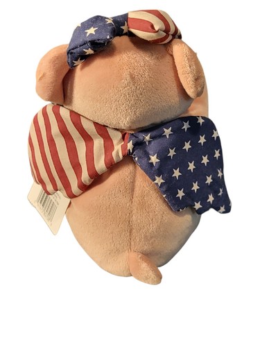 Stars & Stripes Amerika Thema Sammlerwahl Sitzsack Freund 8 Zoll - Bild 4 von 10