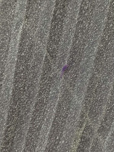 $695 Halston Women Purple Shimmer Pleated Sleeveless Halter Gown Dress Size 6 - Picture 9 of 9