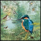 Nature Reserve - Diy Chart Counted Cross Stitch Patterns Needlework Dmc Color