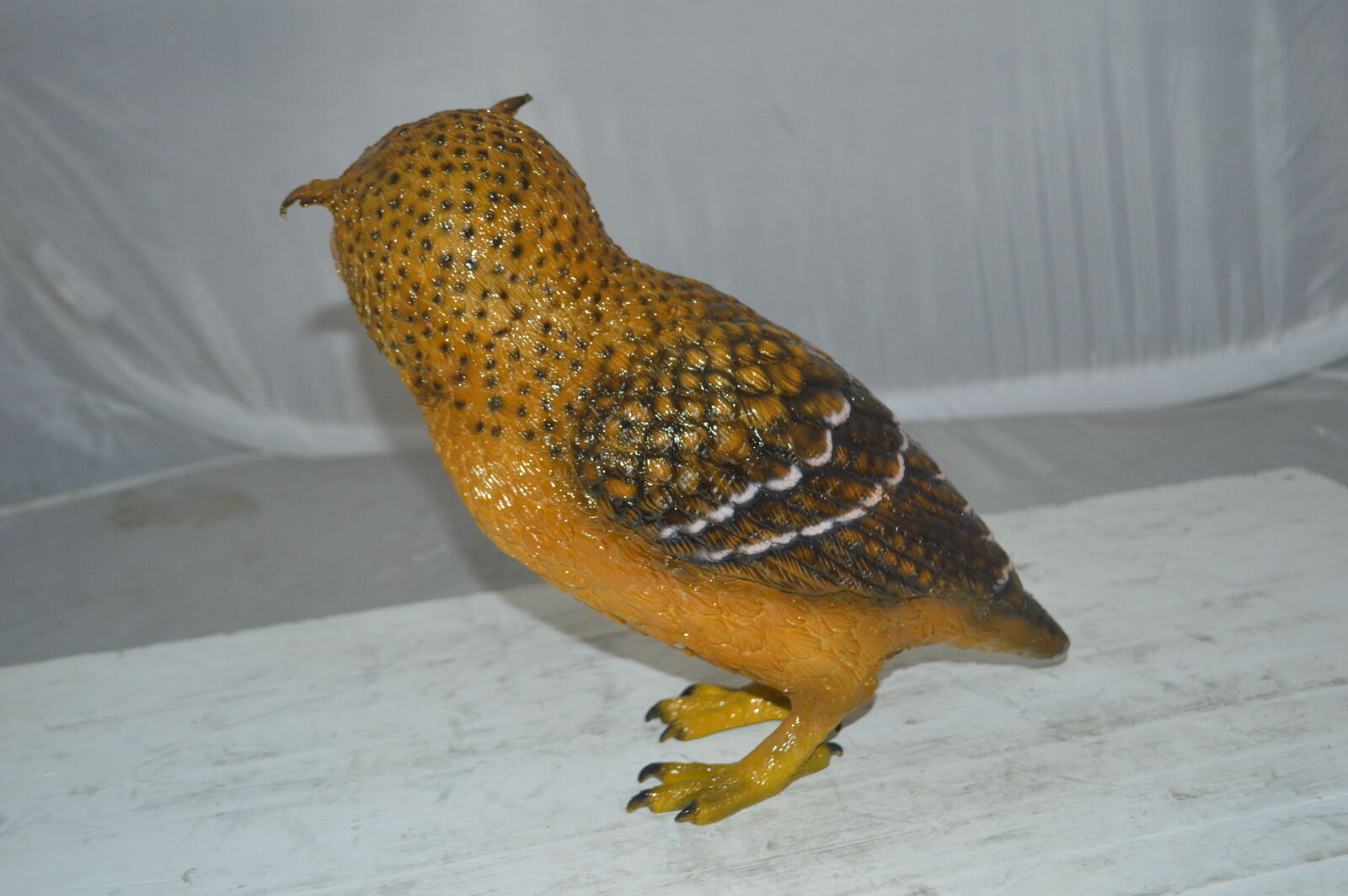 Picture 6 of 11