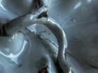 Bild 4 von 9