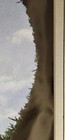 Foto 10 di 11