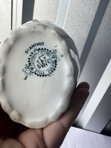 Antigua cerámica colonial crema patrón Dianthus floral Stoke Inglaterra - Imagen 3 de 8