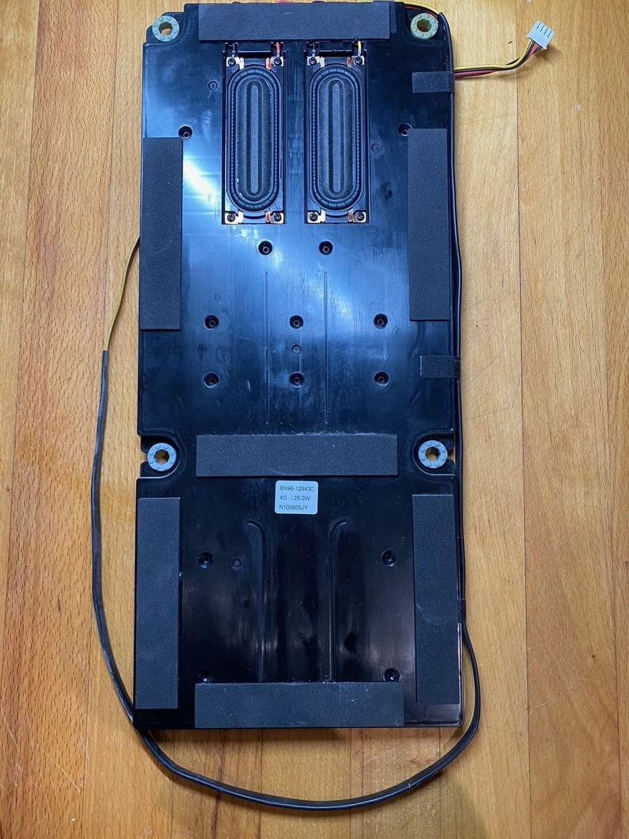 Paire De Haut-parleurs 30043493 Pour TV LCD – Testés OK, Occasion