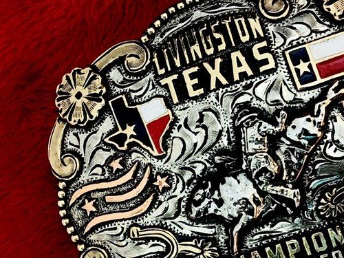 TEXAS Rodeo Trophy Buckle BULL RIDING Champion☆LIVINGSTON TEXAS☆1978☆779 - Picture 9 of 14