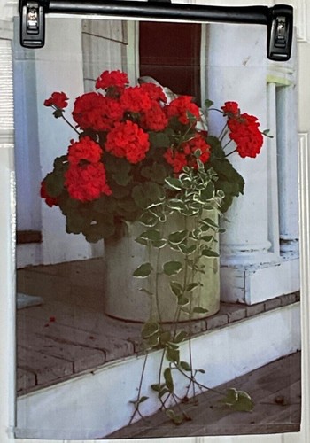 Your Choice, Small Garden Flags…..Some Welcome, Seasonal, Generic…….FLAG ONLY - Picture 11 of 23