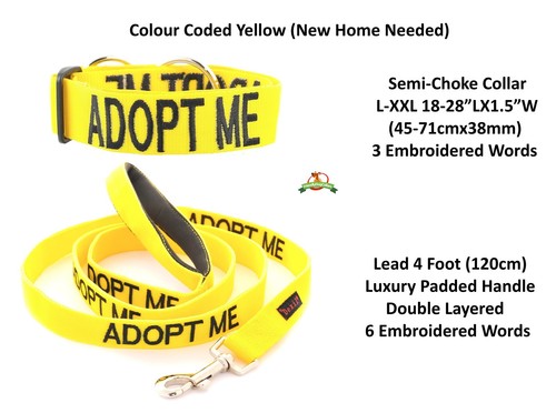 Strong As Leather Staffy Staff Staffie Dogs Harness Lead Leash Collar Or Sets - Picture 17 of 81
