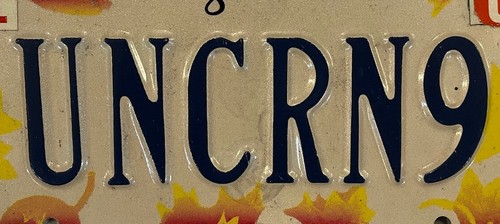 LEAVES vanity UNICORN 9 license plate mythology Legend Creature Rare Horn Purity - Picture 3 of 8