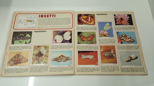 ALBUM FIGURINE PANINI - IL MONDO DEGLI ANIMALI - COMPLETO - 第 21/24 張圖片