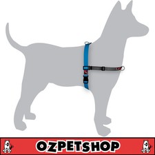   BlackDog - Black Dog Wear Balance Harness - Stop Pulling Halter- Blue