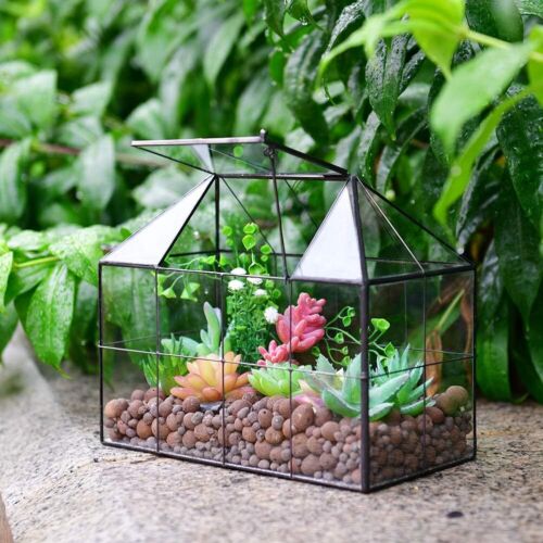 Glass Terrarium House Planter – Succulent Plant Glass Greenhouse with Lid AU - Picture 6 of 8