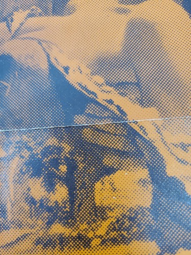 Seltenes 70er Jahre VOM WINDE VERWEHT Filmplakat 17 x 22 Zoll GIEBEL LEIGH Lithographie - Bild 5 von 19