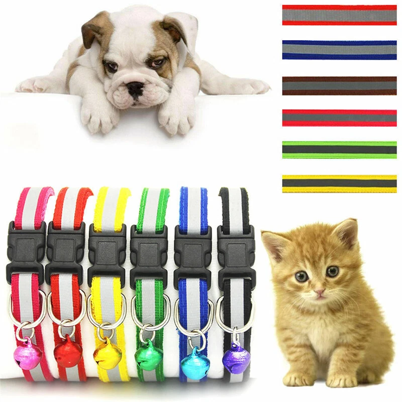 Cool kitten collars cheap