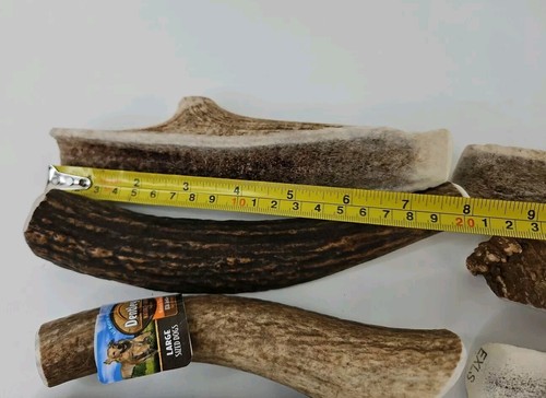 5 lbs Deer Antler Dog Chew Treats Knife Craft Bulk Various 16 Pieces. - Picture 6 of 15
