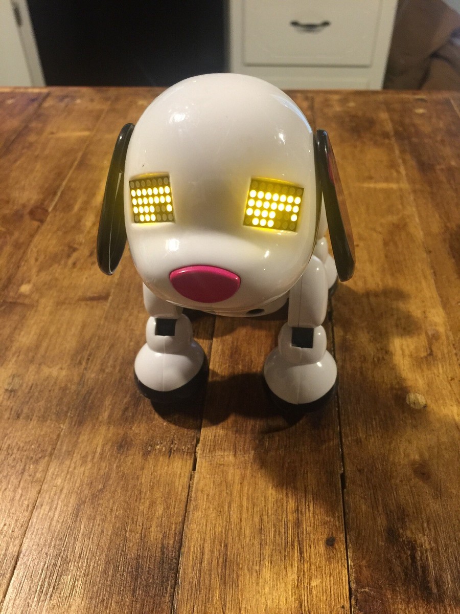 2014 spin hotsell master dog