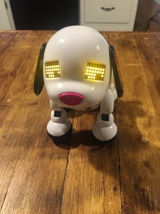 2014 spin master dog