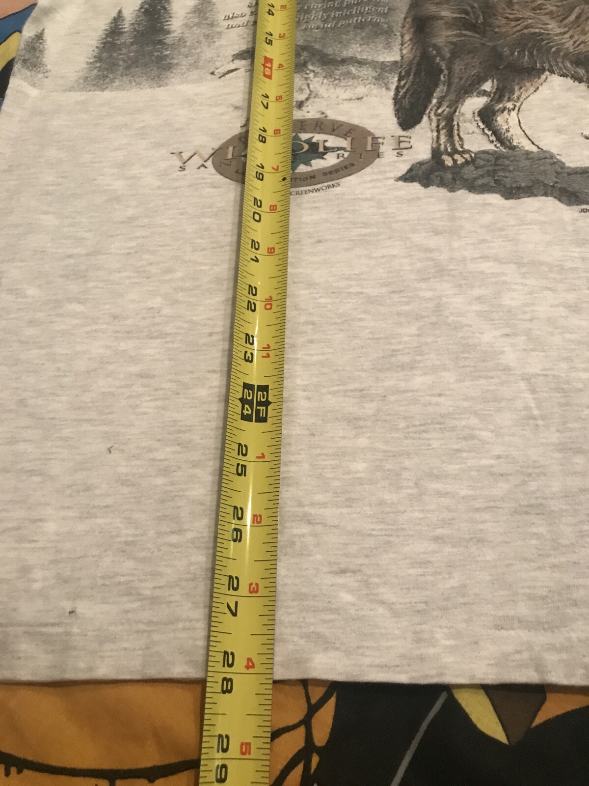 Picture 5 of 12