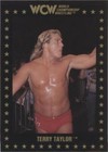 1991 Championship Marketing WCW - Terry Taylor #33
