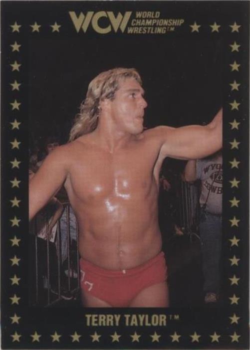 1991 Championship Marketing WCW - Terry Taylor #33 - 1 of 1