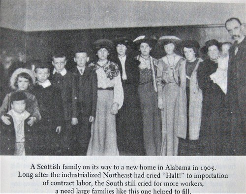 ISLAND of HOPE ISLAND of TEARS Story of Those Who Entered New World thru Ellis - Picture 4 of 10