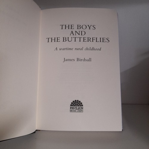 The Boys and the Butterflies by James Birdsall (Hardback) C8 - Imagen 5 de 7