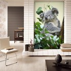 3D Koala Leaves B119 Animal Wallpaper Mural Sefl-adhesive Removable Zoe