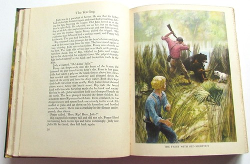 Marjorie Kinnan Rawlings THE YEARLING N.C. Wyeth color plates - Bild 9 von 13