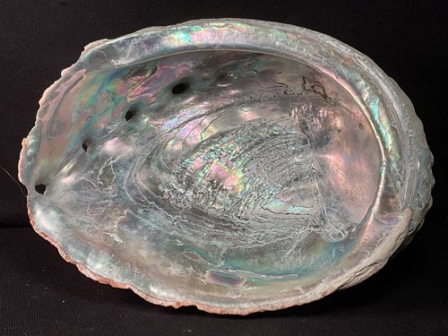 ~RW~ GRANDE CIOTOLA PER SBAVATURE VINTAGE "ABALONE CONCHIGLIA DI MARE" ~~ ARCOBALENO - Foto 1 di 3