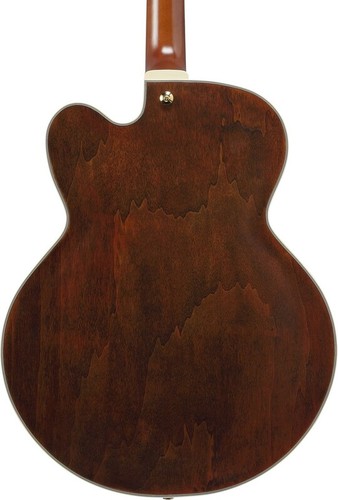 IBANEZ PM3C PAT METHENY SIGNATURE NATURAL - Foto 4 di 12