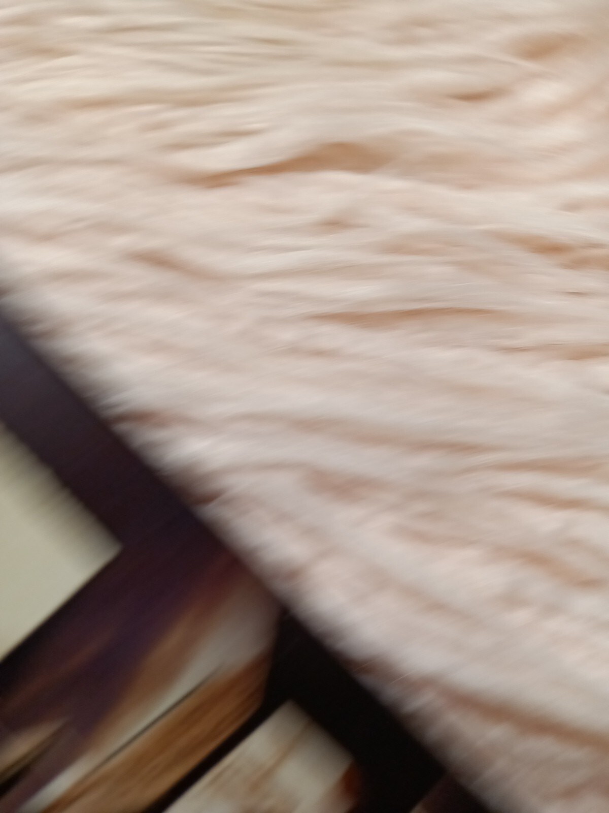 Bild 11 von 12