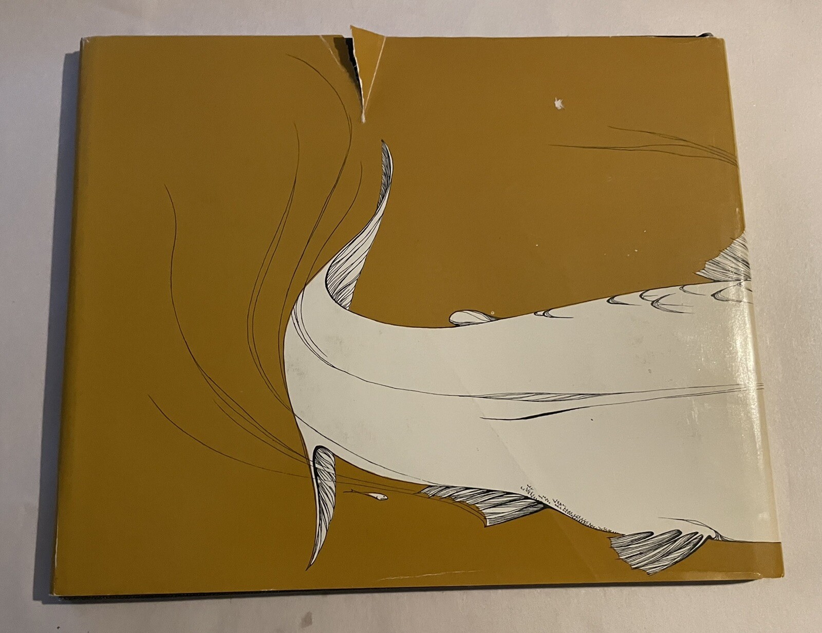 Picture 2 of 8