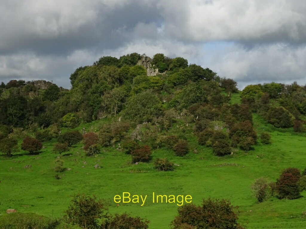 Picture 1 of 1