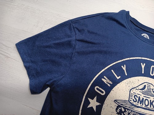 Smokey The Bear Official Licensed Product Men's Blue Short Sleeve T-shirt XS - Picture 4 of 12