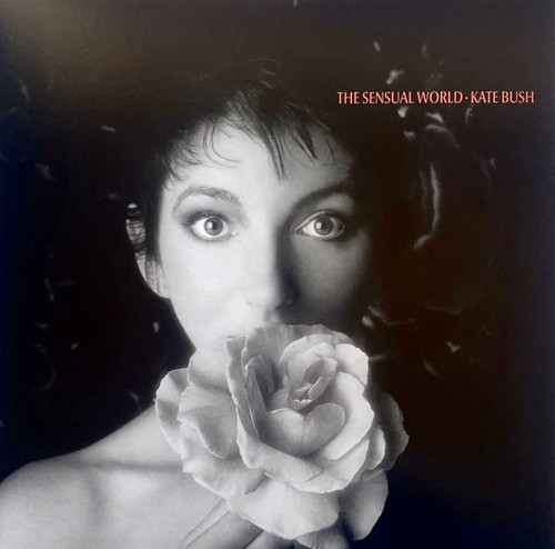 KATE BUSH REMASTERED IN VINYL 11 REMASTERED BOX SET OF 3 ALBUMS - Picture 5 of 9