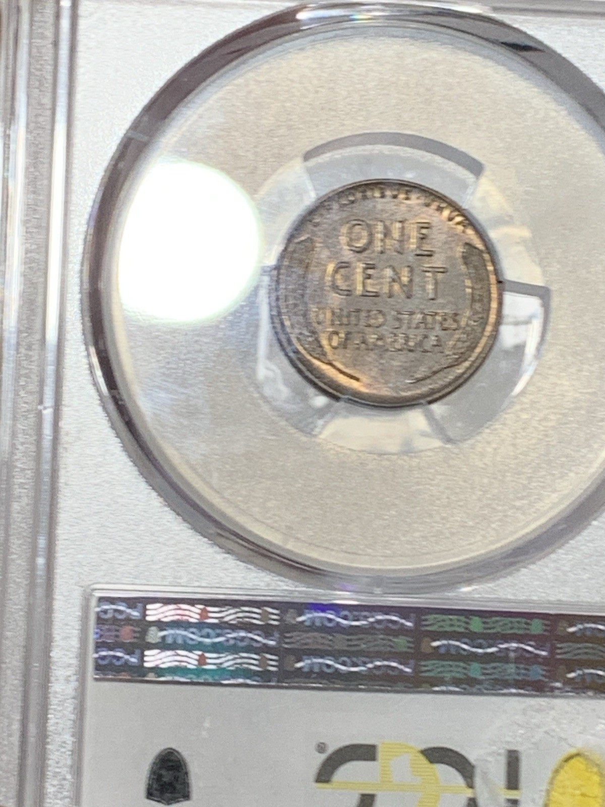 Picture 4 of 4