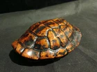 Good Quality Large Chinese Old Jade Hand Carved *Turtle Back* Statue VV008