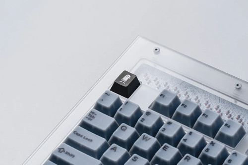 Protozoa Strata Frost TKL Keyboard Kit - Hotswappable, LED Underglow - Picture 3 of 18