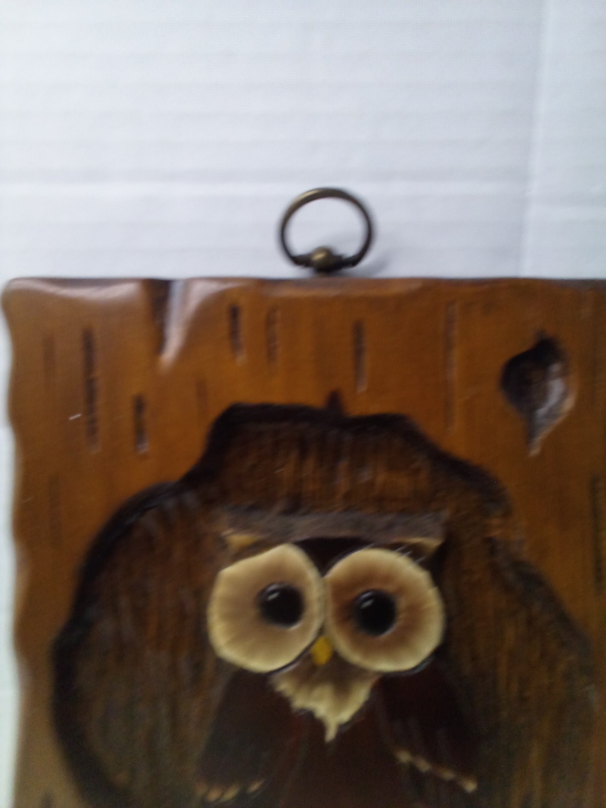 Picture 4 of 12