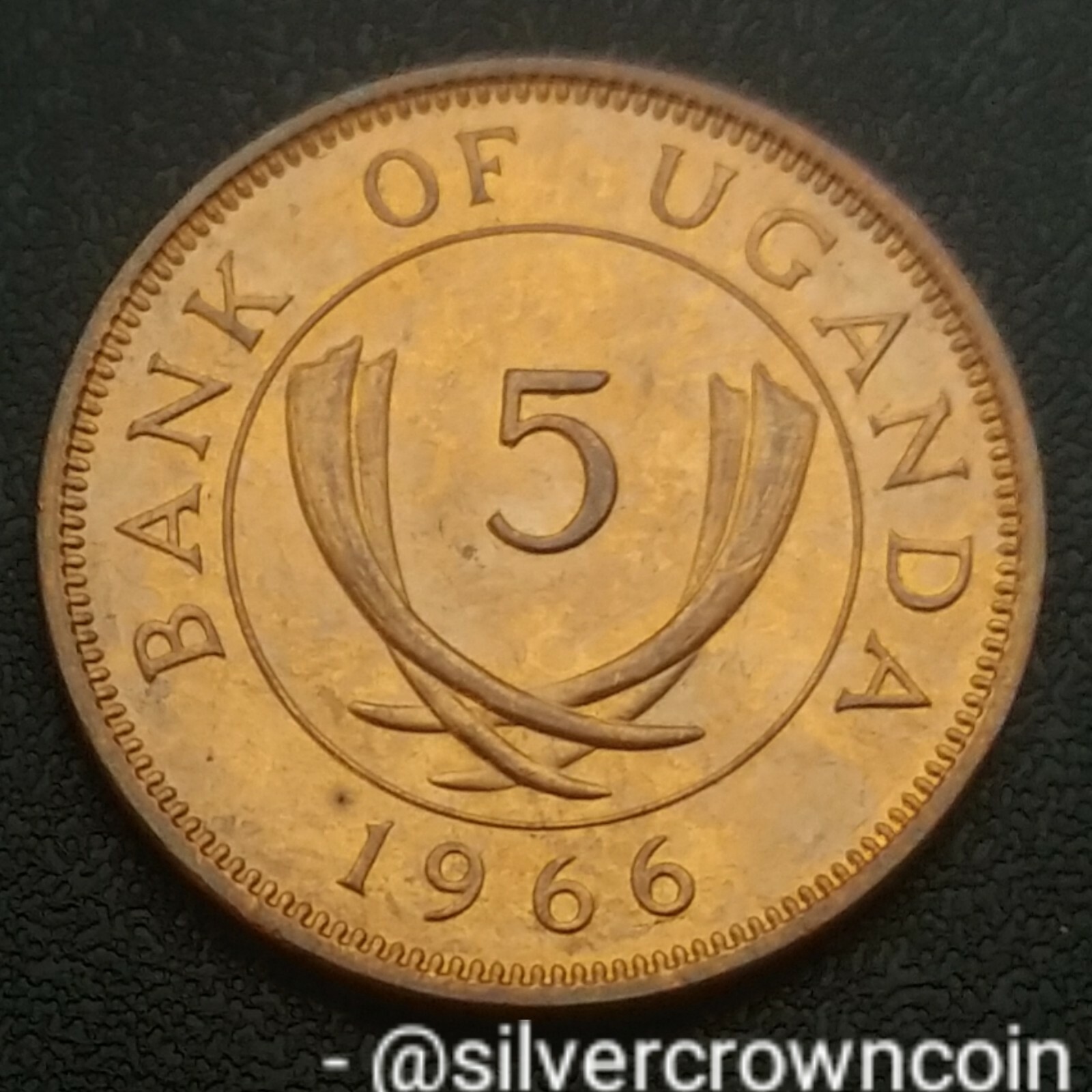 Picture 1 of 7