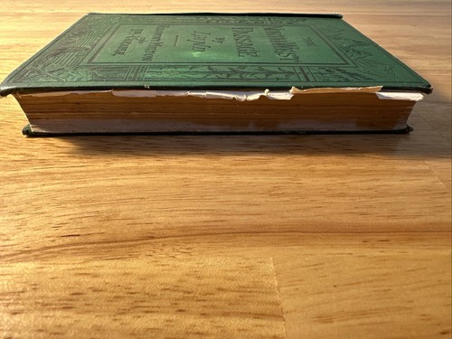 The North West Passage By Land, Eighth Edition, Milton & Cheadle - 1865 - Bild 4 von 21