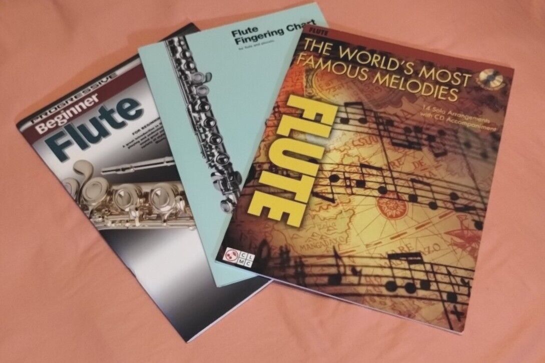 Flute Solos Worlds Famous Melodies + Beginner Flute Lesson Book + Finger Chart