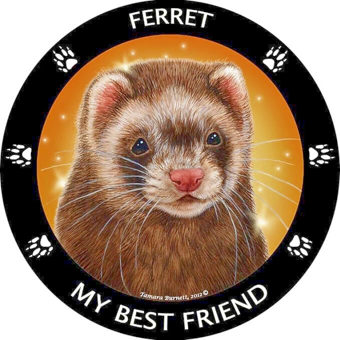 Ferret jewelry deals