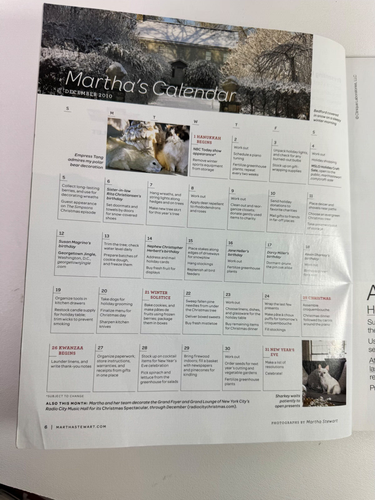 Vintage Martha Stewart Living Magazine December 2010 Recipe Cards - Picture 4 of 6