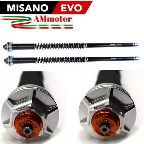 Cartridge Fork Suzuki GSX R 1000 03 - 2006 Misano Evo Hydraulic Moto Fork