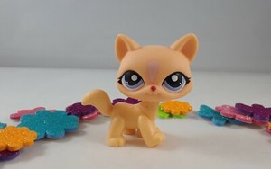 Littlest Pet Shop Light Orange Poof Tail Short Hair Cat With Blue