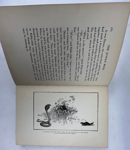 1922 The Jungle Book Rudyard Kipling DoubledayPage & Co Fine Illustrations - Foto 5 di 13